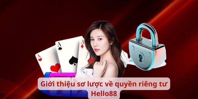 Giới thiệu sơ lược về quyền riêng tư