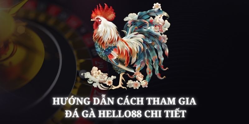 Hướng dẫn cách tham gia chi tiết