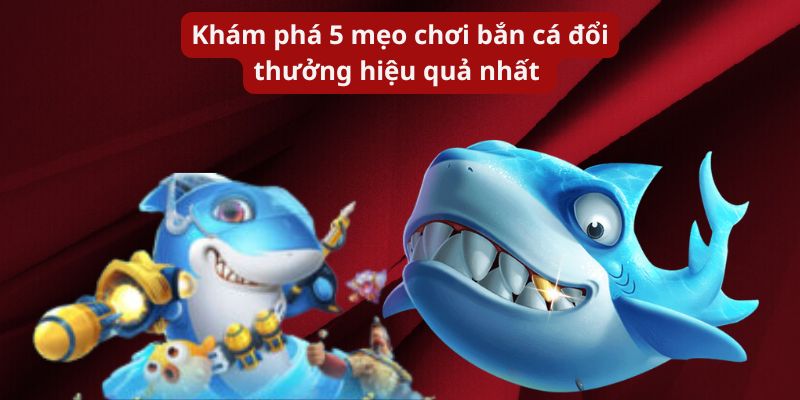 Khám phá 5 mẹo chơi bắn cá đổi thưởng hiệu quả nhất 