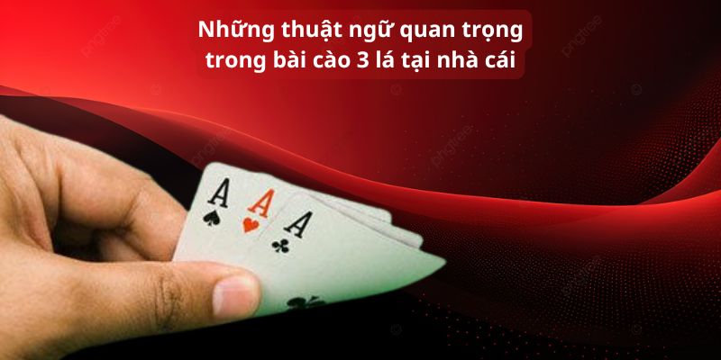 Những thuật ngữ quan trọng