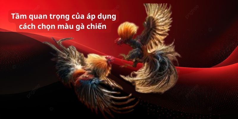 Tầm quan trọng của áp dụng cách chọn màu kê thủ