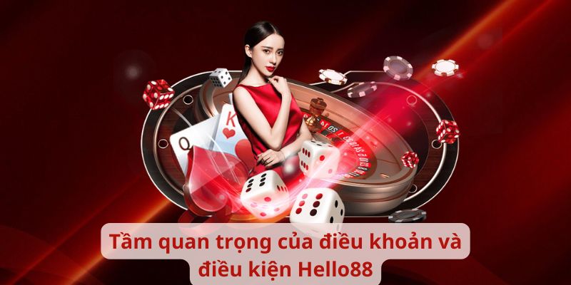 Tầm quan trọng của điều khoản và điều kiện