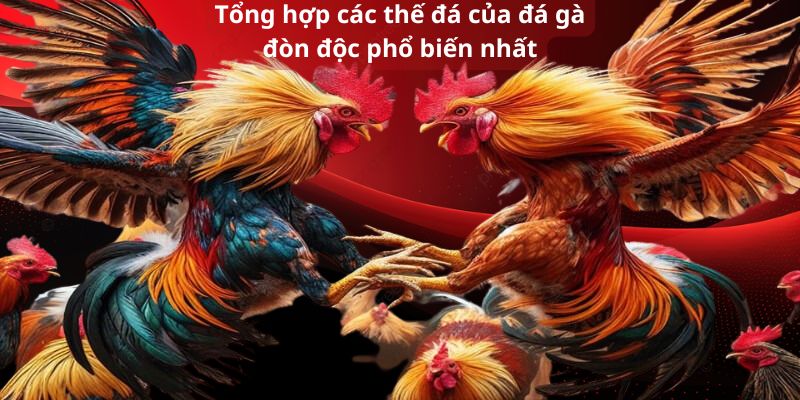 Tổng hợp các thế đá của đá gà đòn độc phổ biến nhất